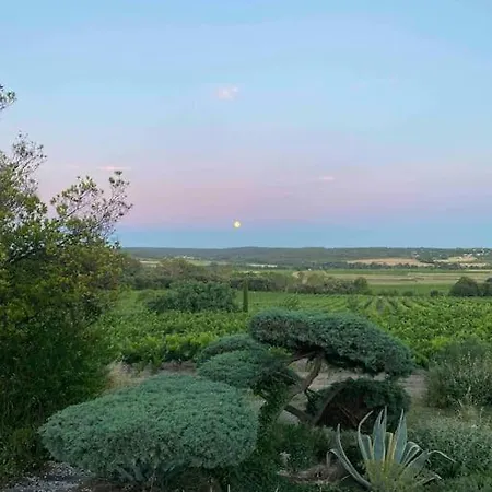 Dans Un Domaine Viticole Fontanes (Gard)
