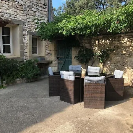 Dans Un Domaine Viticole
